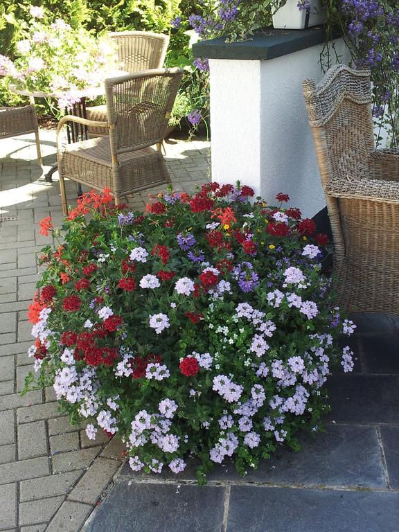 De Witte Molen Kranenburg Bed and Breakfast Kranenburg  Εξωτερικό φωτογραφία