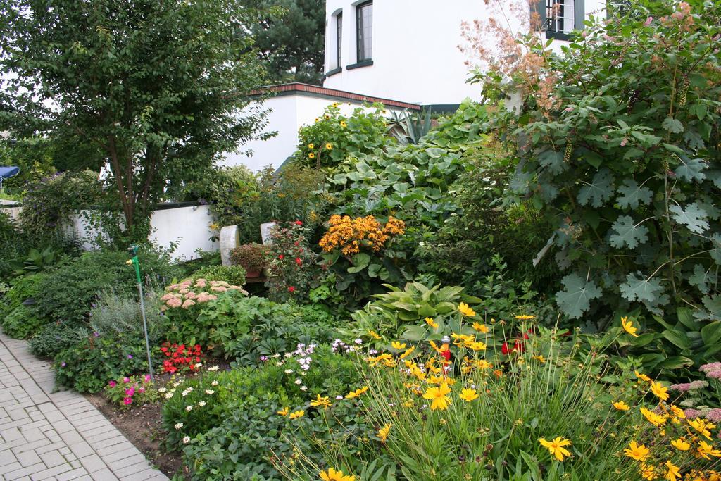 De Witte Molen Kranenburg Bed and Breakfast Kranenburg  Εξωτερικό φωτογραφία